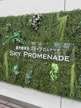 屋外展望台スカイプロムナードに投稿された画像（2025/6/2）