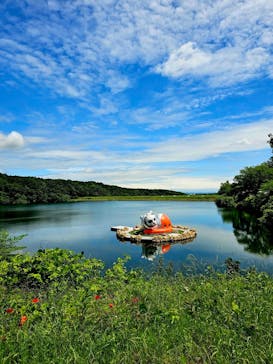 ハイパーミュージアム飯能に投稿された画像（2025/6/2）