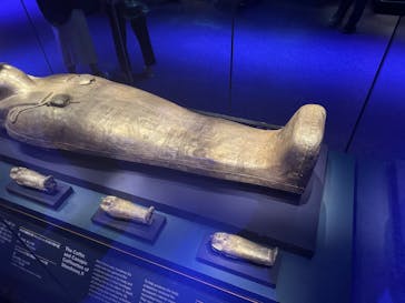 ACN ラムセス大王展 ファラオたちの黄金に投稿された画像（2025/6/2）