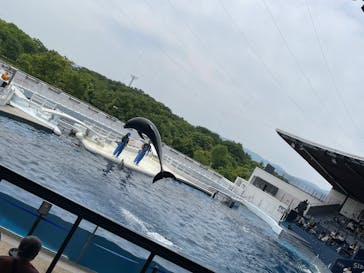 京都水族館に投稿された画像（2025/6/2）