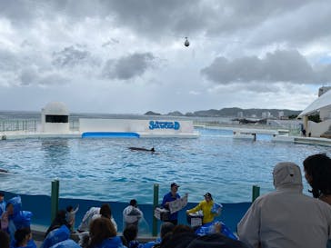 鴨川シーワールドに投稿された画像（2025/6/2）