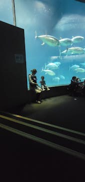 葛西臨海水族園に投稿された画像（2025/6/2）