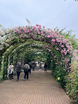 横浜イングリッシュガーデンに投稿された画像（2025/6/2）