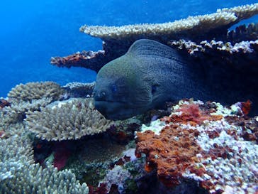  マリンショップHAPPYに投稿された画像（2025/6/2）