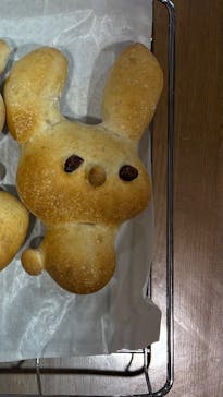 安城産業文化公園デンパークに投稿された画像（2025/6/2）