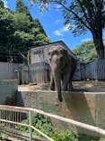 宇都宮動物園に投稿された画像（2025/6/2）