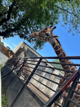 宇都宮動物園に投稿された画像（2025/6/2）