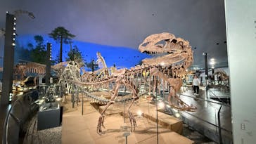 福井県立恐竜博物館に投稿された画像（2025/6/2）