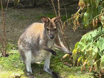 こども動物自然公園（埼玉県公園緑地協会）に投稿された画像（2025/6/2）