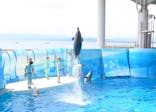 新江ノ島水族館に投稿された画像（2025/6/2）