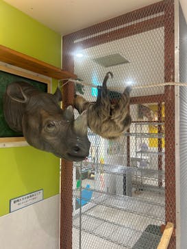 アニタッチ 東京ドームシティに投稿された画像（2025/6/2）