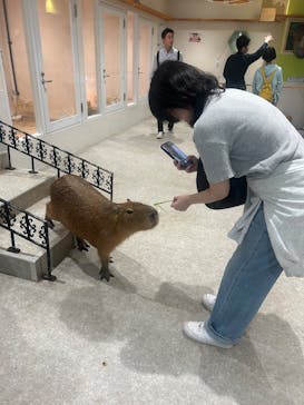 アニタッチ 東京ドームシティに投稿された画像（2025/6/2）