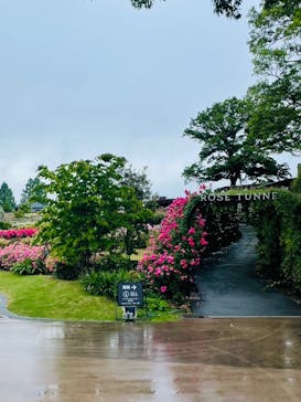 いばらきフラワーパークに投稿された画像（2025/6/2）