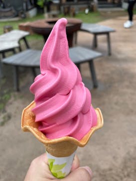 いばらきフラワーパークに投稿された画像（2025/6/2）