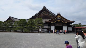 元離宮二条城に投稿された画像（2025/6/2）