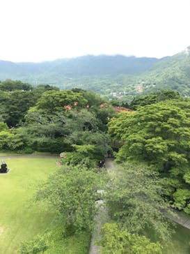 彫刻の森美術館に投稿された画像（2025/6/2）