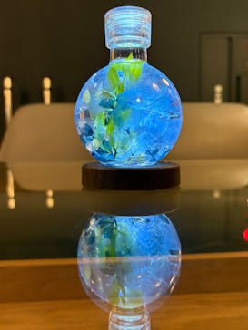 アクアワールド茨城県大洗水族館に投稿された画像（2025/6/2）