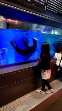 すみだ水族館に投稿された画像（2025/6/2）