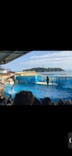 新江ノ島水族館に投稿された画像（2025/6/3）