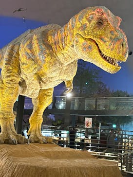 福井県立恐竜博物館に投稿された画像（2025/6/3）