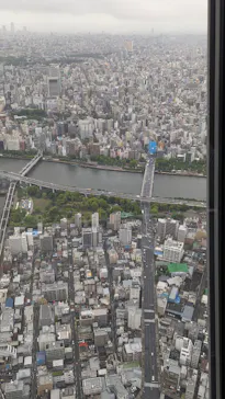 東京スカイツリーに投稿された画像（2025/6/3）