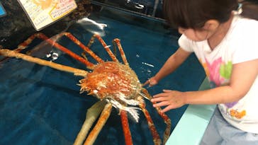 竹島水族館に投稿された画像（2025/6/3）