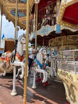 日本モンキーパークに投稿された画像（2025/6/3）