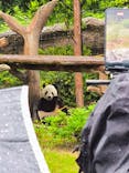 恩賜上野動物園に投稿された画像（2025/6/3）