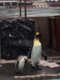下田海中水族館に投稿された画像（2025/6/3）