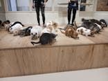 Cat Café MOFF つかしん店に投稿された画像（2025/6/3）