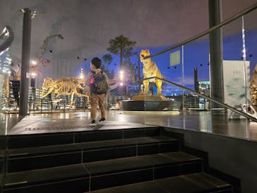 福井県立恐竜博物館に投稿された画像（2025/6/3）