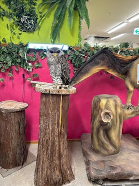 アニタッチ 東京ドームシティに投稿された画像（2025/6/3）