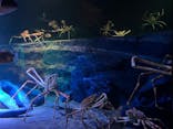 竹島水族館に投稿された画像（2025/6/3）
