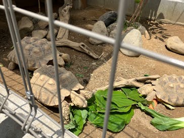 竹島水族館に投稿された画像（2025/6/3）