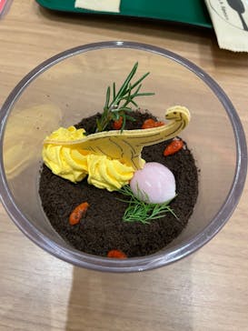 福井県立恐竜博物館に投稿された画像（2025/6/3）