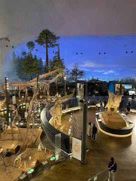 福井県立恐竜博物館に投稿された画像（2025/6/3）