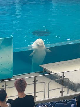 横浜・八景島シーパラダイスに投稿された画像（2025/6/3）