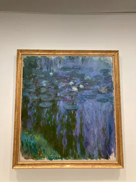 モネ　睡蓮のときに投稿された画像（2025/6/3）