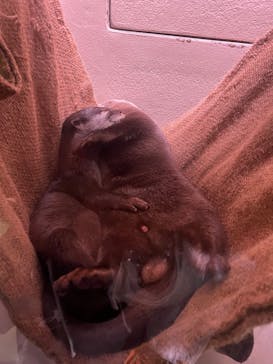 マクセル アクアパーク品川に投稿された画像（2025/6/3）