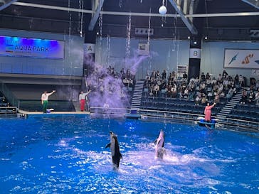 マクセル アクアパーク品川に投稿された画像（2025/6/3）