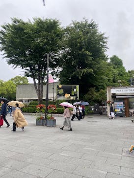 西洋絵画、どこから見るか？―ルネサンスから印象派まで　サンディエゴ美術館 vs 国立西洋美術館に投稿された画像（2025/6/3）