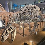 福井県立恐竜博物館に投稿された画像（2025/6/3）