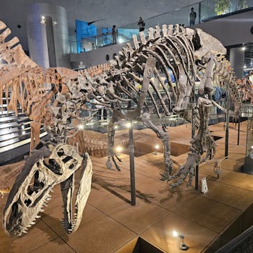 福井県立恐竜博物館に投稿された画像（2025/6/3）