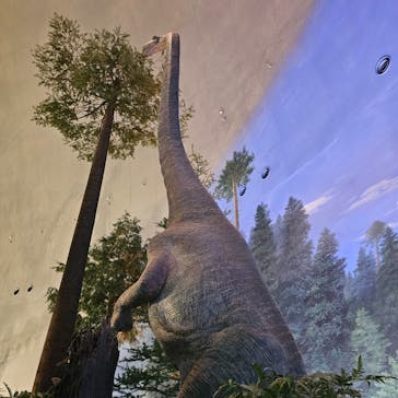 福井県立恐竜博物館に投稿された画像（2025/6/3）