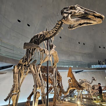 福井県立恐竜博物館に投稿された画像（2025/6/3）