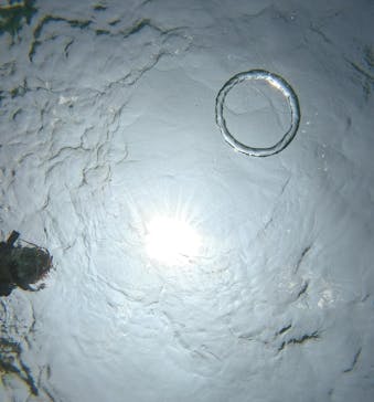 青の洞窟専門店　沖縄ダイビングショップ和に投稿された画像（2025/6/3）