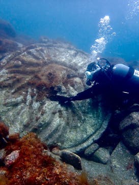 伊豆高原ダイビングスクール 渋谷店に投稿された画像（2025/6/3）