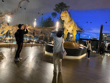 福井県立恐竜博物館に投稿された画像（2025/6/3）