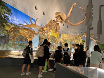 福井県立恐竜博物館に投稿された画像（2025/6/3）