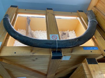 福井県立恐竜博物館に投稿された画像（2025/6/3）